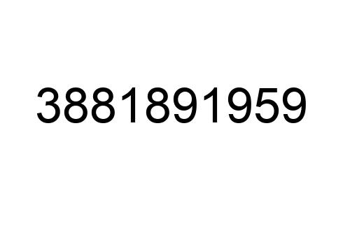 3881891959