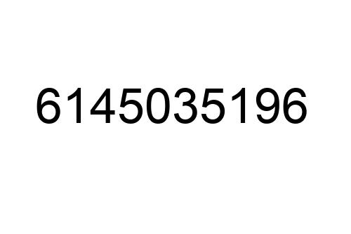 6145035196