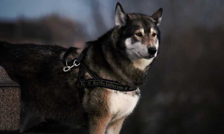 76ers vs orlando magic match player stats