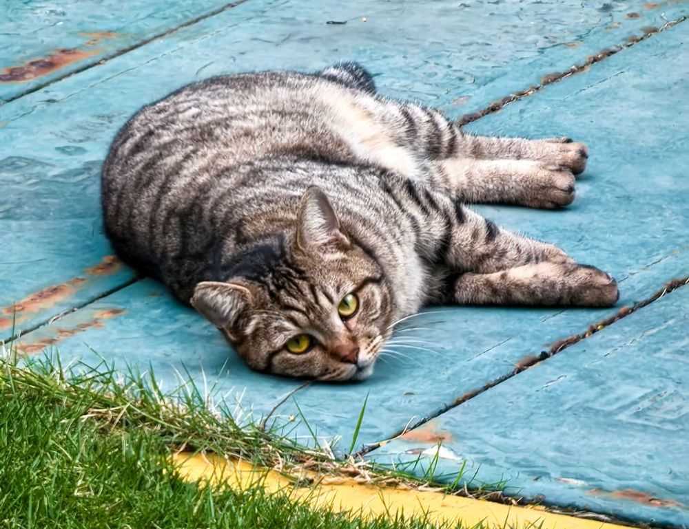 cute girly_m 3 best friends