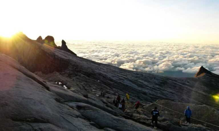 fnaf:g5ngei1ifv0= freddy