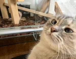 half half pair dp matching cute cartoon couple profile picture