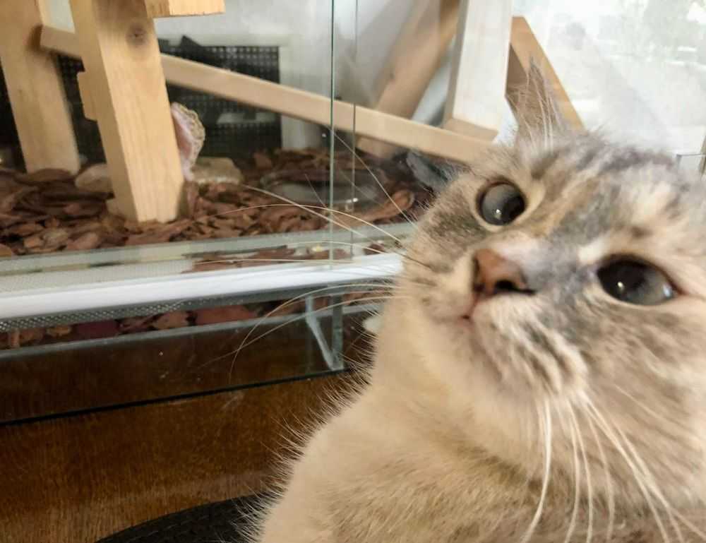 half half pair dp matching cute cartoon couple profile picture