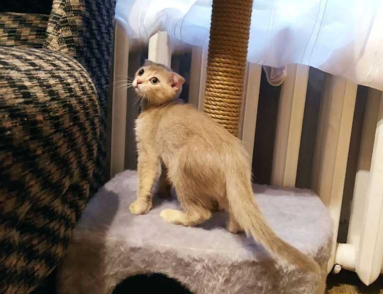 kerri gribble only fans leak