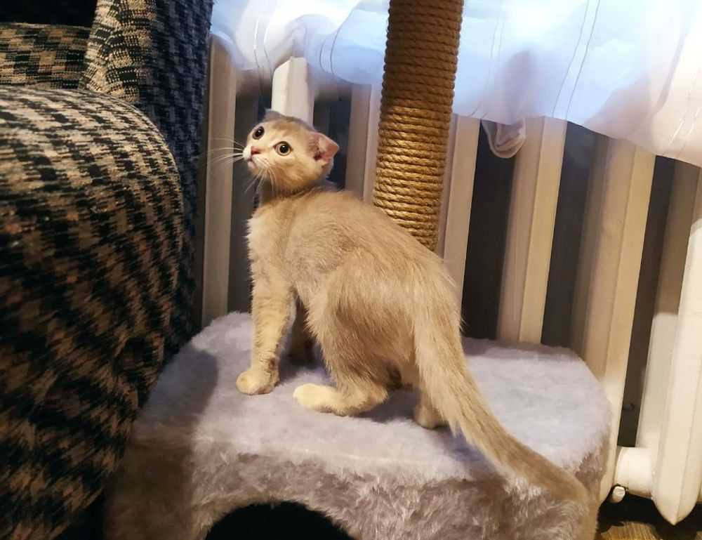 kerri gribble only fans leak