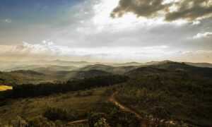 miss marie elisabeth onlyfans