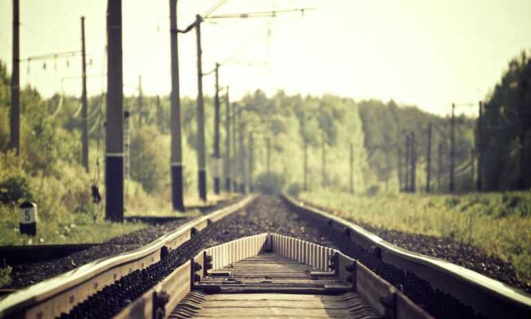 sons of the forest eneba