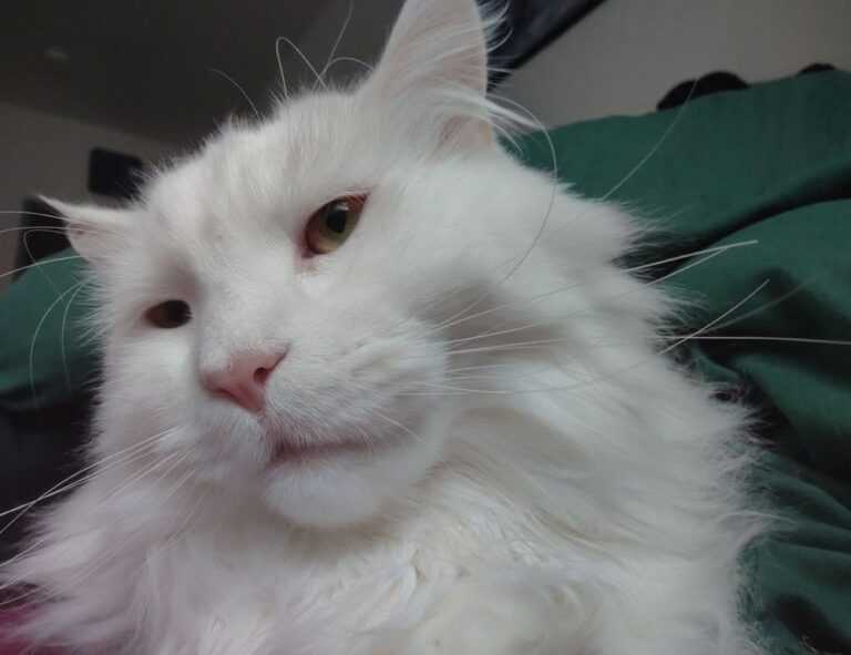 sophie stonehouse onlyfans