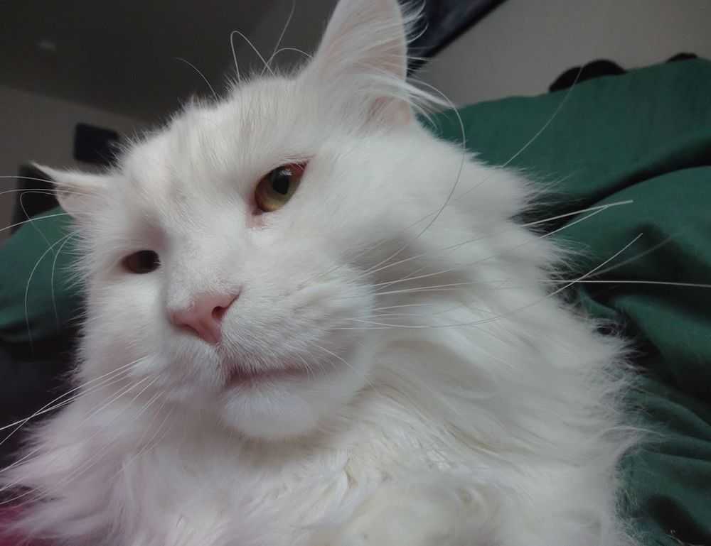 sophie stonehouse onlyfans