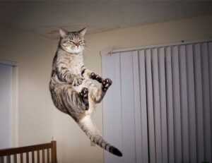 tortas de memes para hombres