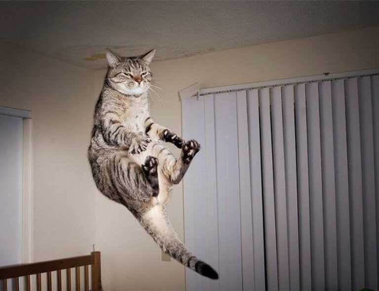 tortas de memes para hombres