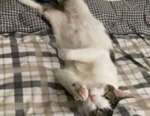 wirid hari senin sampai minggu