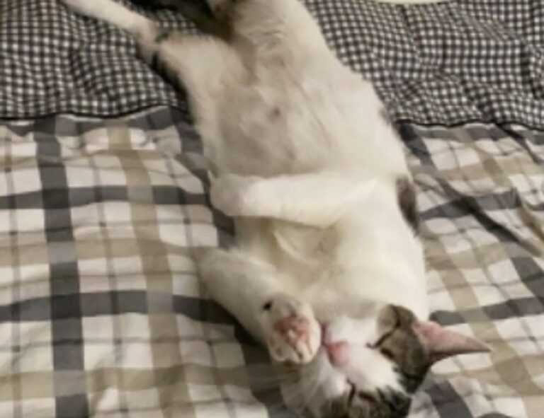 wirid hari senin sampai minggu