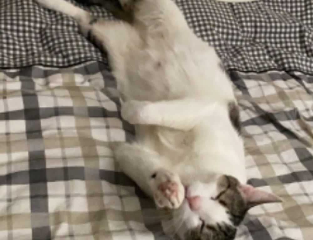 wirid hari senin sampai minggu