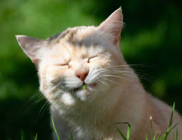 zoolo tv cindy lopez