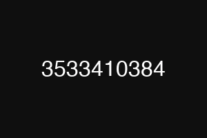 3533410384
