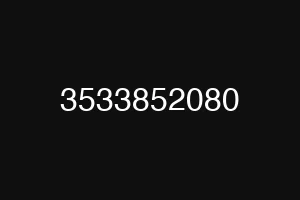 3533852080
