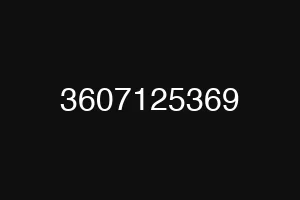 3607125369
