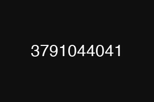 3791044041