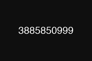 3885850999