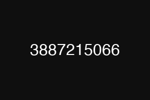 3887215066