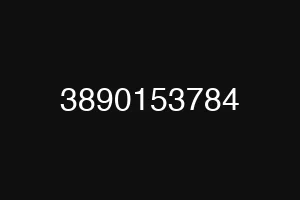3890153784