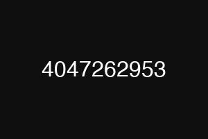 4047262953