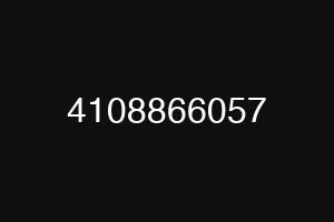 4108866057