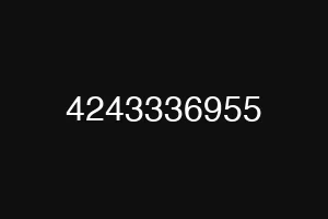 4243336955