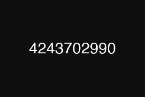 4243702990
