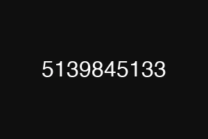 5139845133