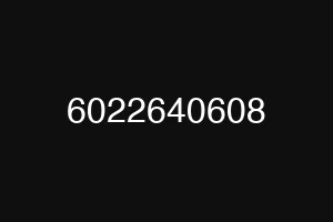 6022640608