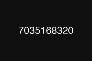 7035168320