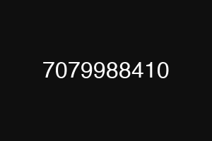 7079988410