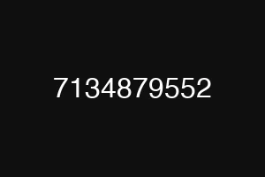 7134879552