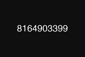 8164903399