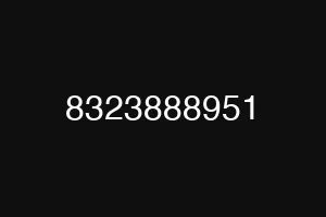 8323888951