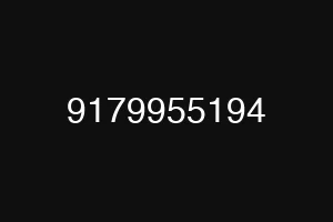 9179955194