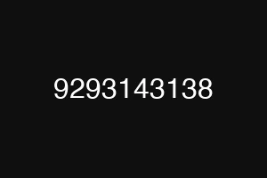 9293143138