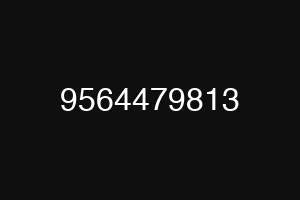 9564479813