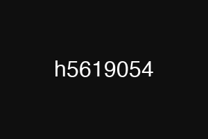 h5619054
