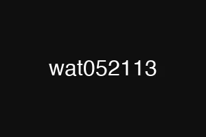 wat052113
