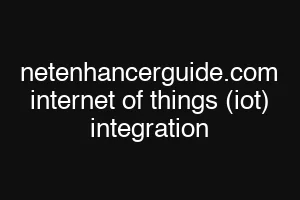 netenhancerguide.com internet of things (iot) integration